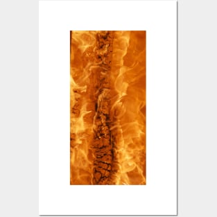 Fire wood texture Posters and Art